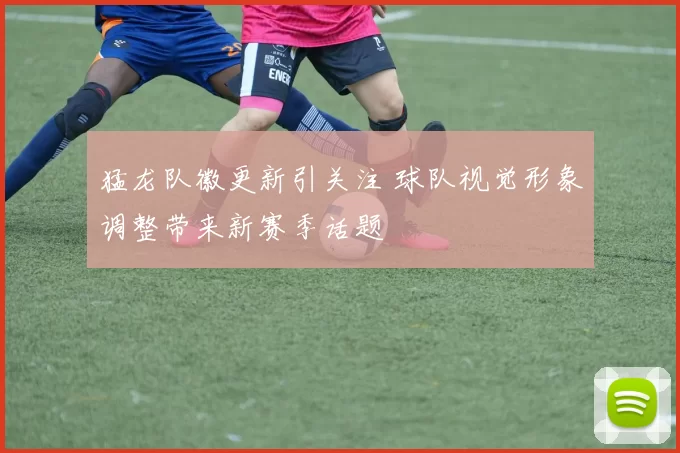 猛龙队徽更新引关注 球队视觉形象调整带来新赛季话题